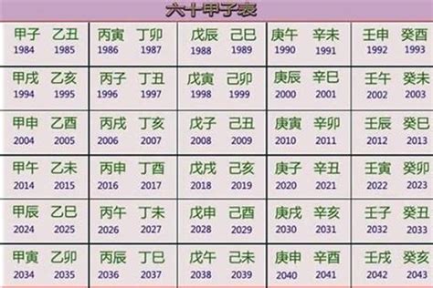 2023年属|2023年五行属什么 2023年五行属什么命